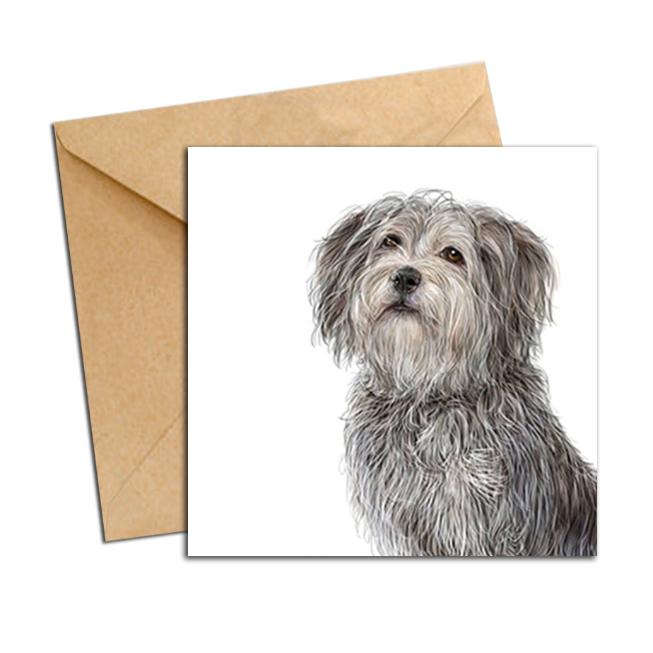Card - Dog - Maltese X